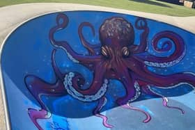 An example of street art created at a skate park in South Holland.