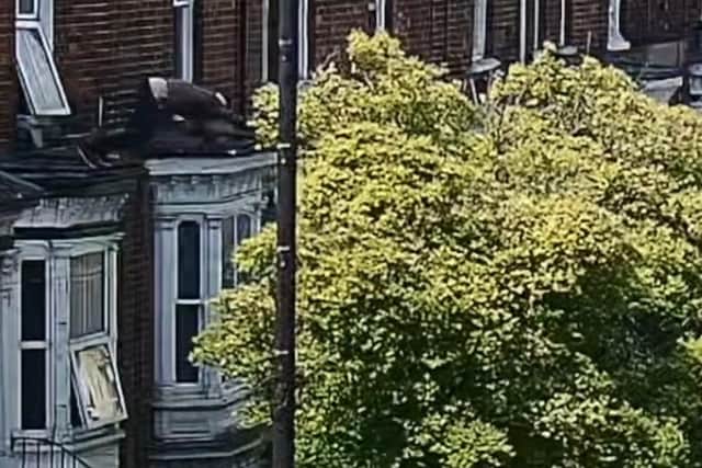 CCTV shows the kidnap victim leaping from an upstairs window into a street in a desperate bid for freedom. Photo: Lincs Police
