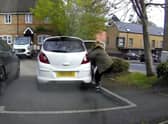 Courtney Lovland tried to stop the runaway Corsa