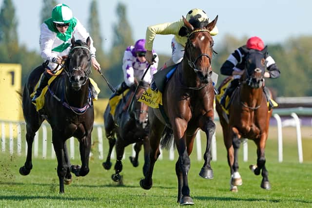 (PIERRE LAPIN) – Pierre Lapin, pictured winning at Newbury, could develop into a top-class sprinter. (Photo by Alan Crowhurst/Getty Images)