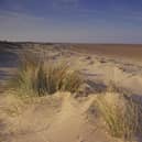 Saltfleetby Sand dunes. Photo: Natural England Paul Glendell
