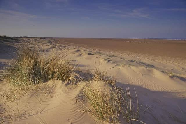 Saltfleetby Sand dunes. Photo: Natural England Paul Glendell