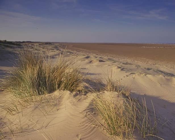 Saltfleetby Sand dunes. Photo: Natural England Paul Glendell