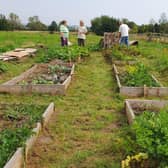 Some of the visitors got straight to work. Image: Angela Mayne