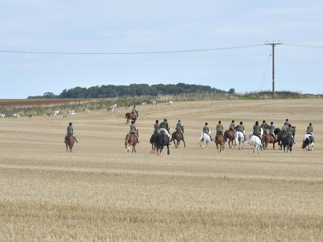 Hounds and riders stream off across the fields near Temple Grange. Photo: David Dawson