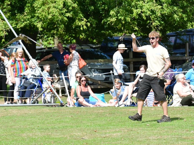 Mike Willis of Fens Falconry