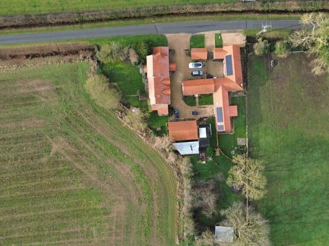 A bird's-eye view of the plot.