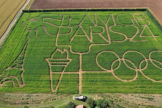 Olympic theme for giant maize maze