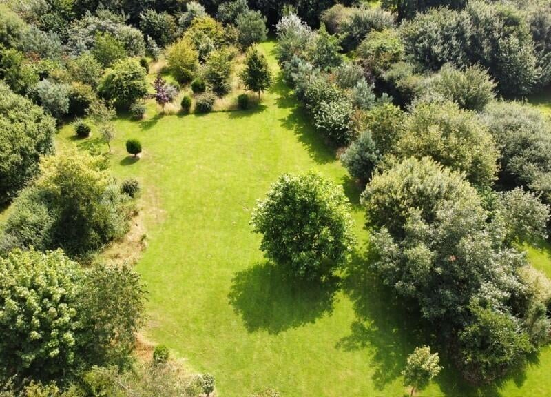 More of the grounds.