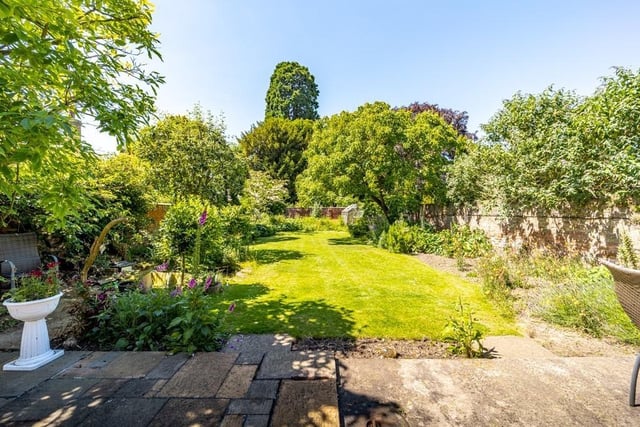 The garden.