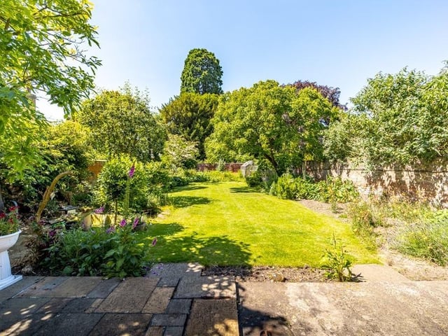 The garden.