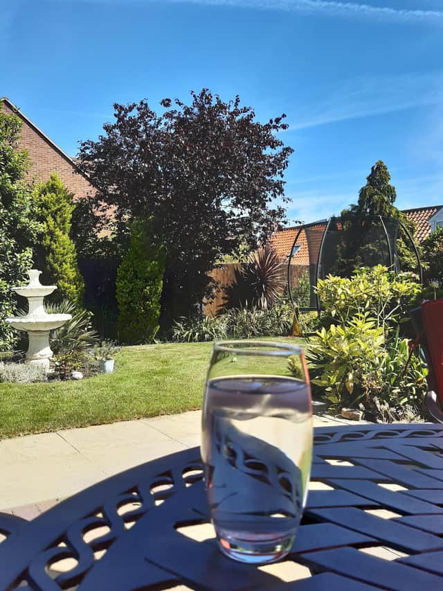Stay hydrated and stay in the shade during hot weather.