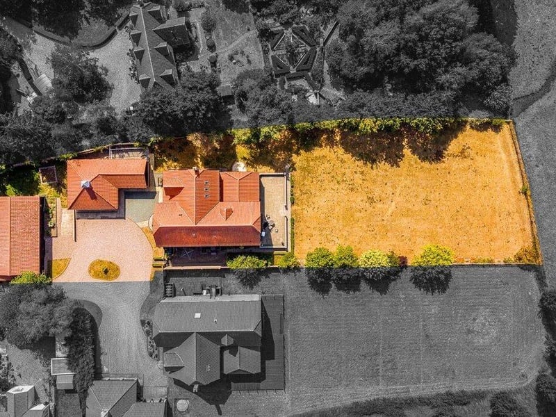 A bird's-eye view of the plot.