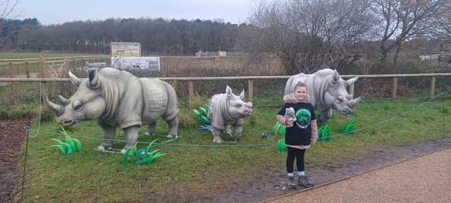 Paige Bavin on her seventh day of her sponsored walk at Yorkshire Wildlife Park.