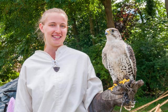 Falconry display at Bolingbroke.