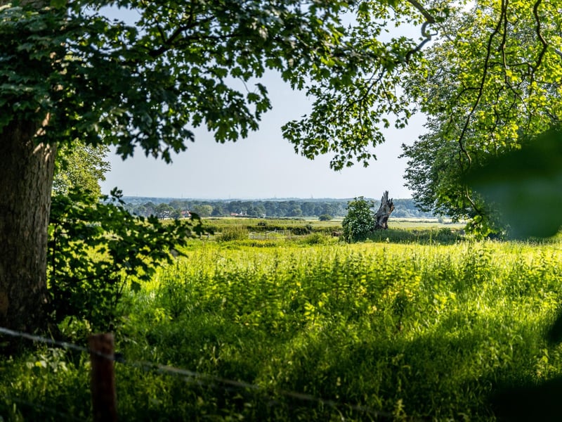 Countryside views.