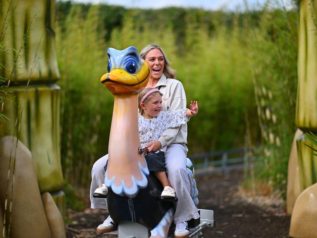 WILD Ostrich Safari Ride at Sundown Adventureland