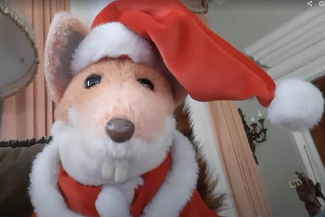 Legendary basil Brush in festive gear.