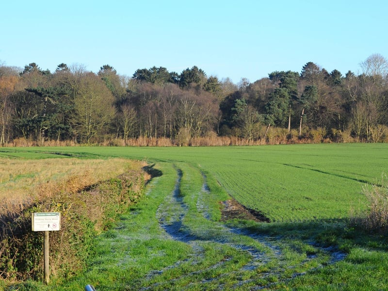 Friskney Nature Reserve made national headlines over a photo that appeared to show a large, shadowy figure - potentially the ‘British Bigfoot' - lurking in the woods. This was the scene when our photographer visited.