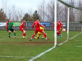 Ryan Rushen (left) fires home the opening goal. Photo: Steve W Davies Photography.