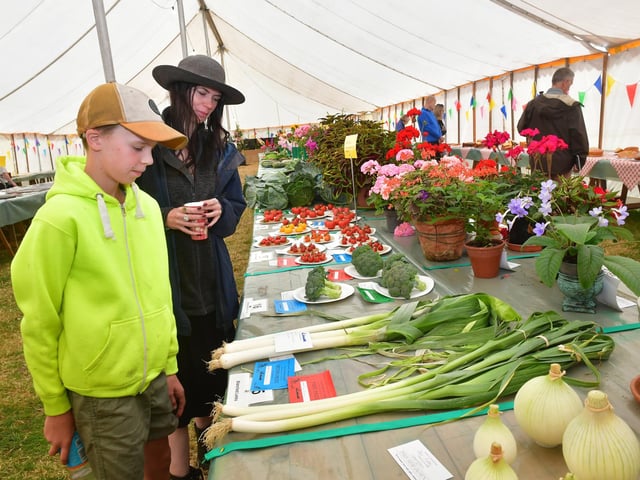 Naomi Sparks and Jack Sparks 11 of Melton Mowbray inspect entries in the horticulture tent.