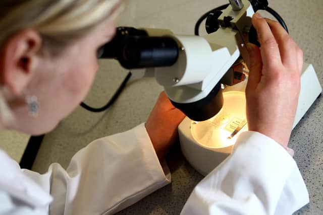 A student looks at matter under a microscope
