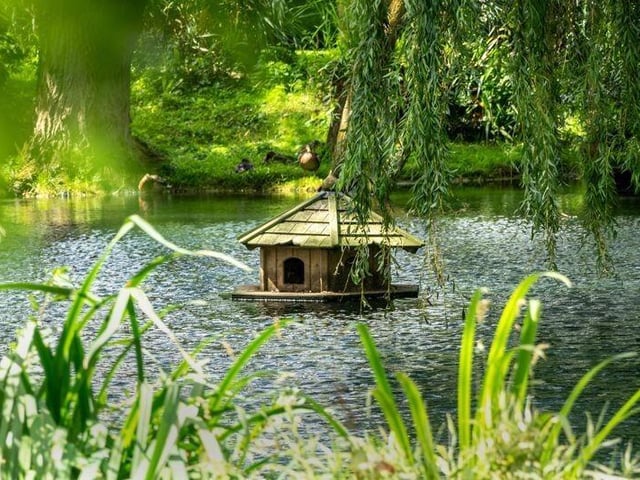 The duck house.