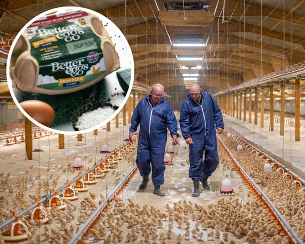 Chick rearing at L.J Fairburn & Son, Alford. Inset: Better Eggs