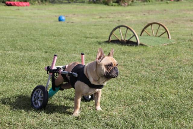 Rider with his wheels