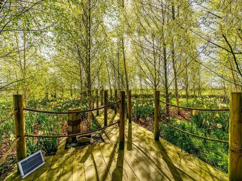 The wooded area that leads off from the containers.