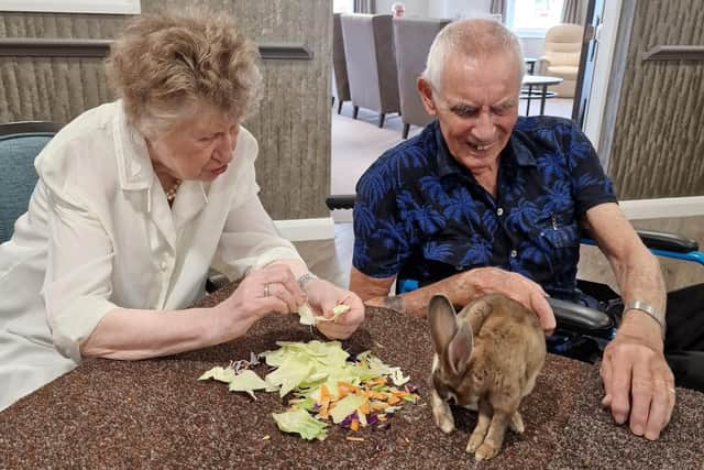 Anne Main and Brian Batley with a rabbit.