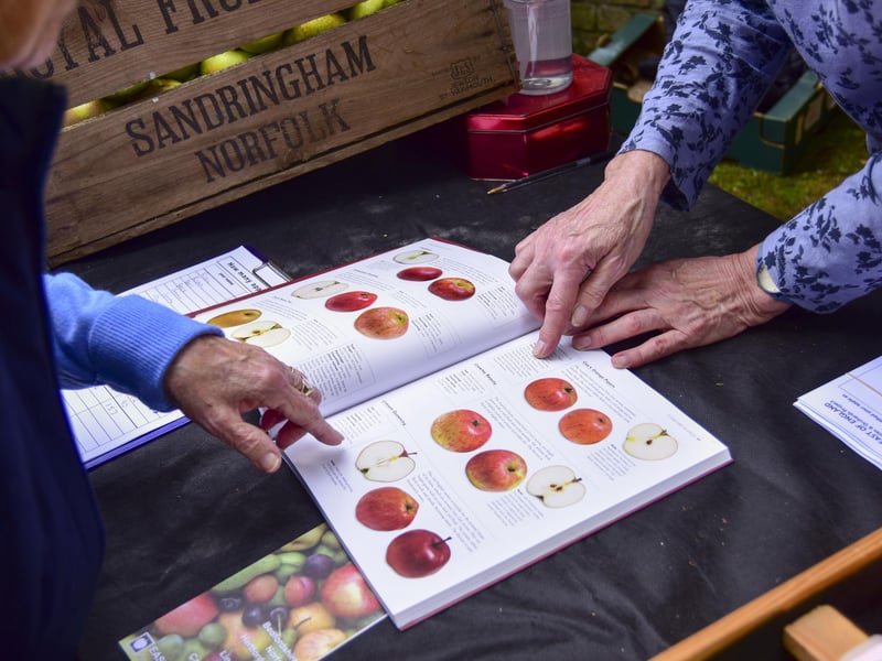 A chance to ask the experts at the East of England Apple and Orchard Project stall.