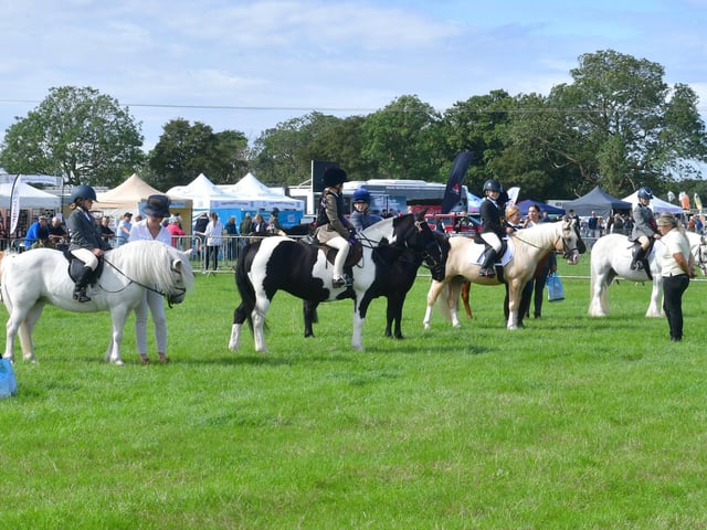 Ponies on parade.