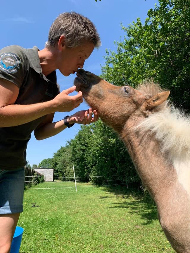 RSPCA reveals 700 animals are waiting for space at animal centre and appeals for foster carers to help free up space | LincolnshireWorld RSPCA reveals 700 animals are waiting for space at animal centre and appeals for foster carers to help free up space | LincolnshireWorld