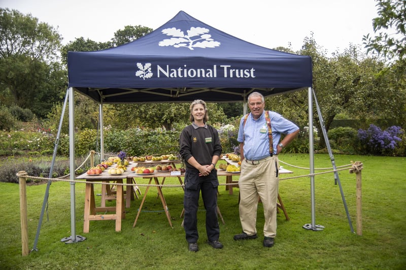 National Trust gardeners Natasha Johnson and Clive Ironmonger  with their annual display of apples.