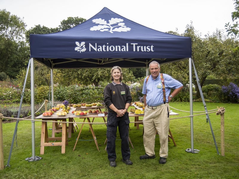 National Trust gardeners Natasha Johnson and Clive Ironmonger with their annual display of apples.