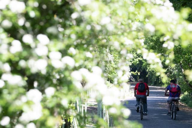 Cyclists on the National Cycle Network. Credit: Mark Radford