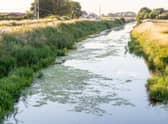 There had been reports of pollution entering Newham Drain at Antons Gowt, Boston. The Environment Agency is yet to provide an update on its investigation.