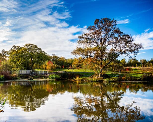 RHS Harlow Carr