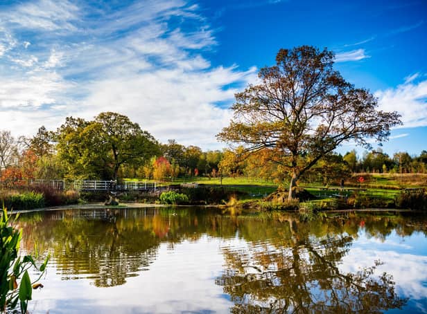 RHS Harlow Carr
