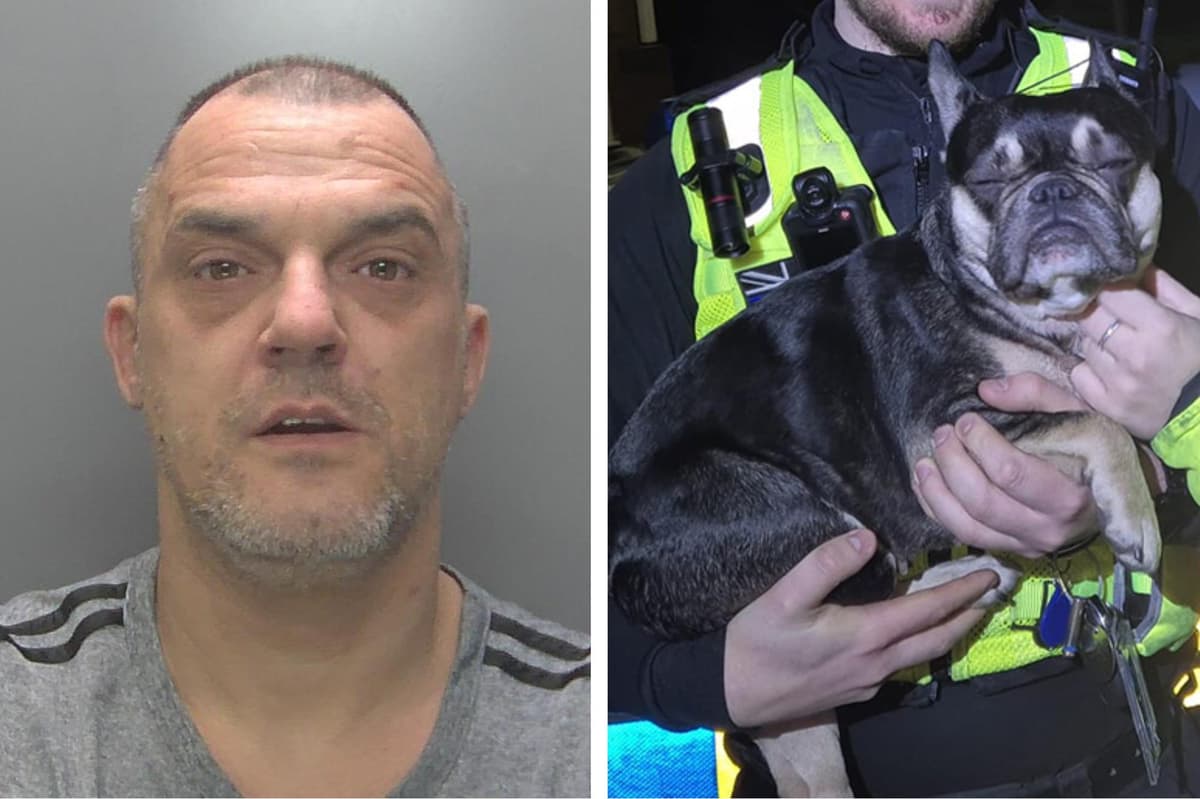 Prolific burglar who brought dog with him jailed over crime spree in ...