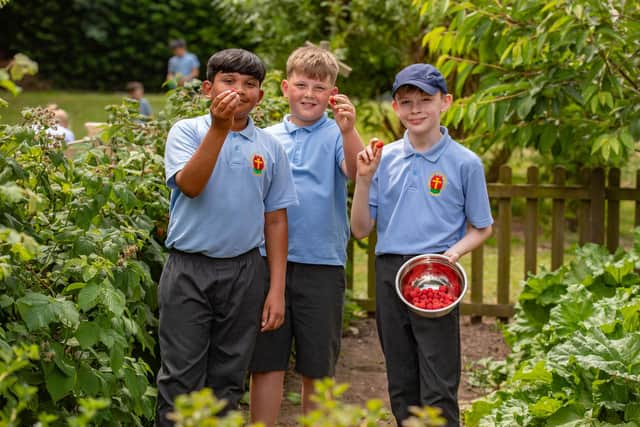 Students with raspberries grown on school allotment
