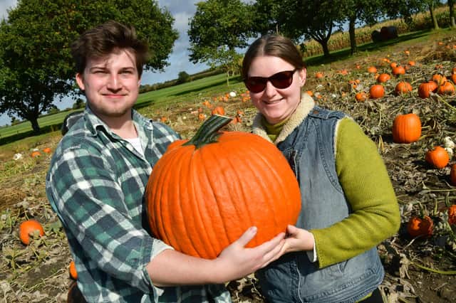 Joe Mulholland and Lucy Candlin picking their pumpkins. All photos: D.R.Dawson Photography