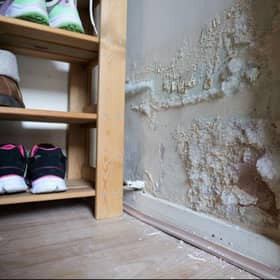 New campaign aimed at raising awareness about damp and mould in homes is set to launch
