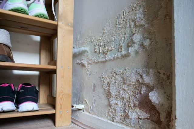 New campaign aimed at raising awareness about damp and mould in homes is set to launch