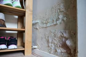 New campaign aimed at raising awareness about damp and mould in homes is set to launch