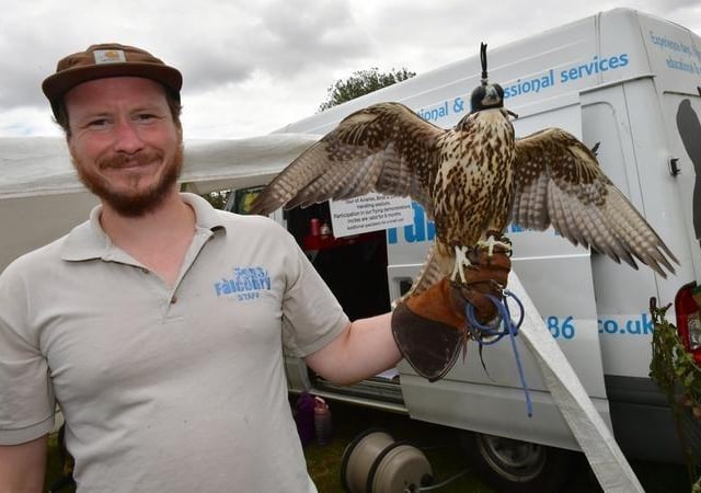 Richard Wilkinson of Fens Falconry, with his Saker Falcon, Phoenix.
