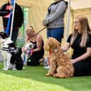 Dog owners with their pets at last year's event in Gainsborough