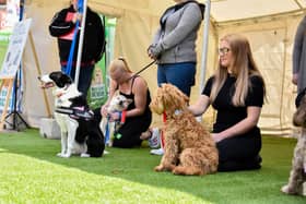 Dog owners with their pets at last year's event in Gainsborough