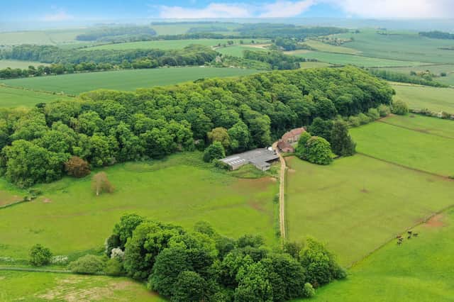 Part of the grounds at The Grove, Scamblesby.